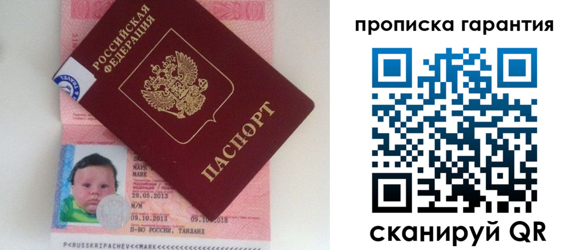 где прописаться в Ельне